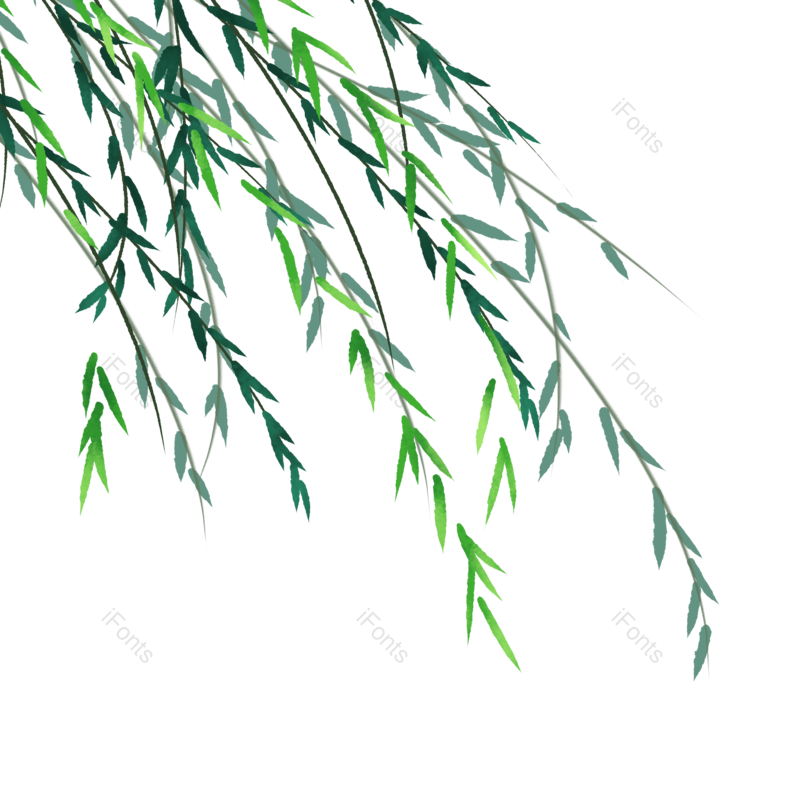 树叶图片,卡通树叶元素,树叶装饰PNG,免抠素材